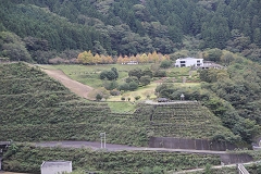AvgLv